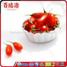 Goji Beeren 21 Tage Fix Goji Beeren 3. Goji Beeren 33133